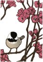 Chickadee in Quince