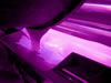 Caligo violet ink