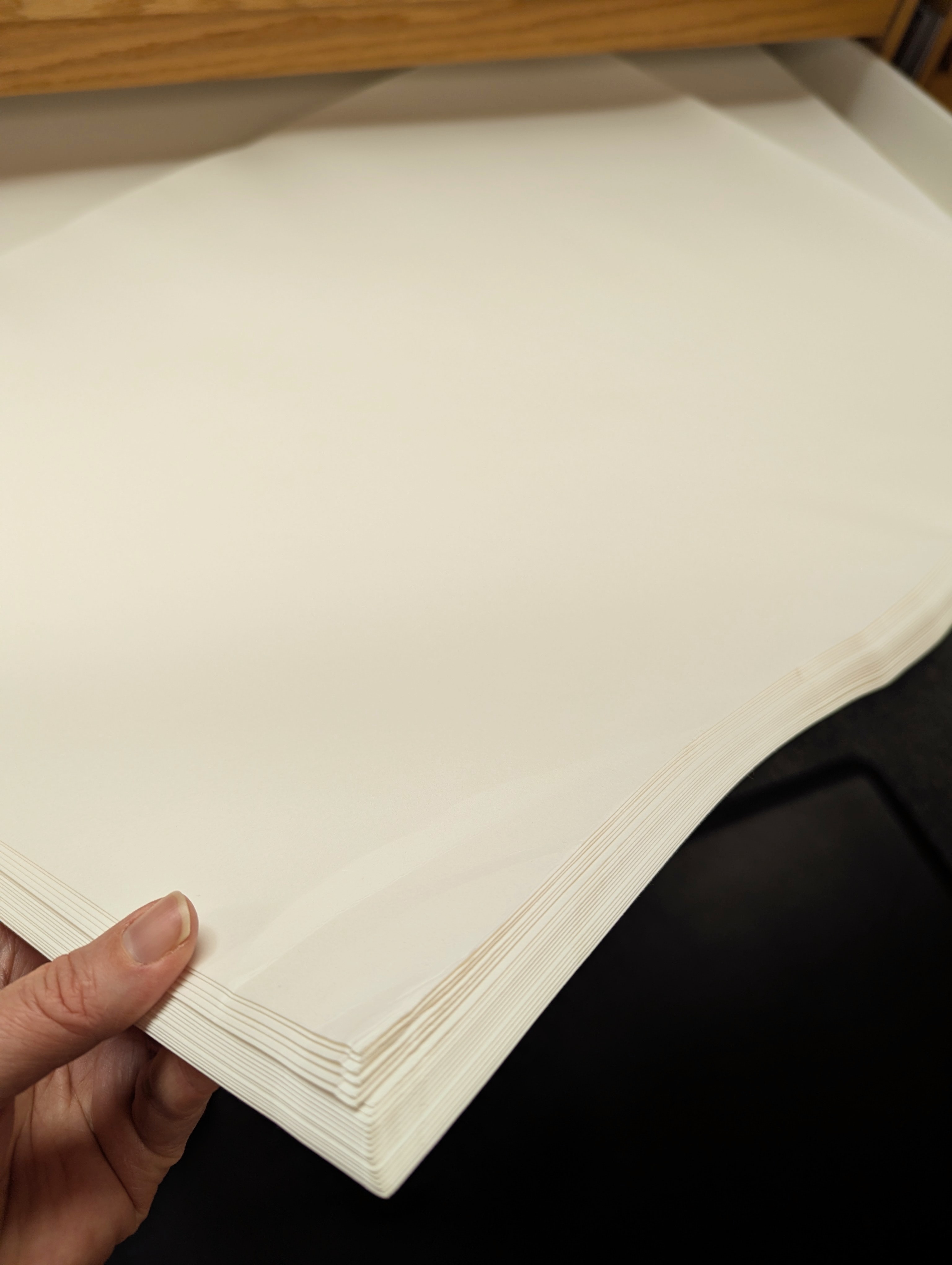 Torinoko white paper, damaged