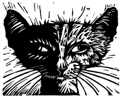 Cat, print by David Page