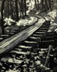 Old Logging Railroad