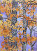 Autumn Trees by Wilson Creek
