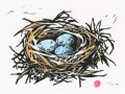 Bird Nest with Blue Eggs