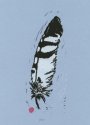 Short-eared Owl Feather