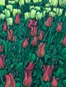 Tulips - Keukenhof