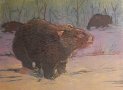 Wombat Hero