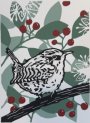 Winter Wren 2024