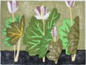 Bloodroot