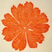 Mayapple Leaf