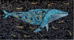 You Are What You Eat #30: Humpback Whale